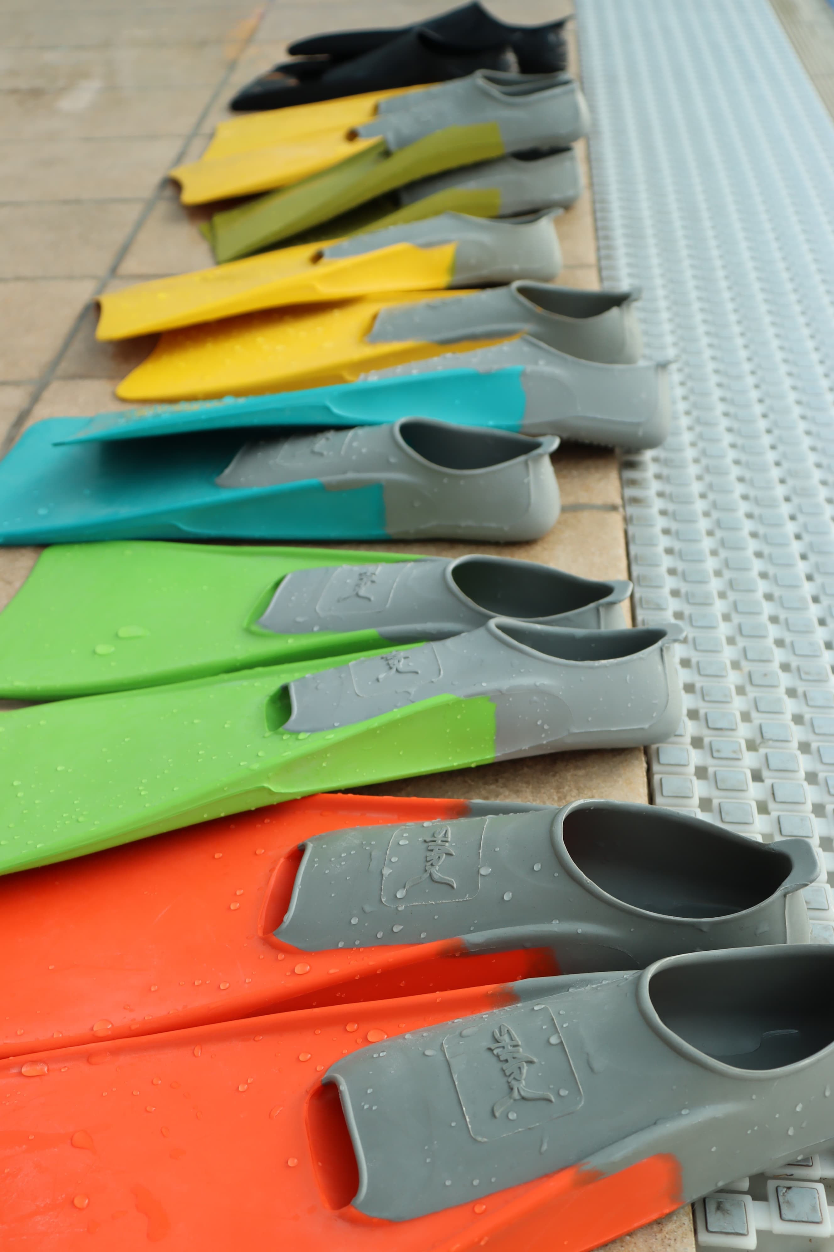 שיעורי שחיה במולטיפול